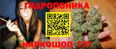 spice Бузулук