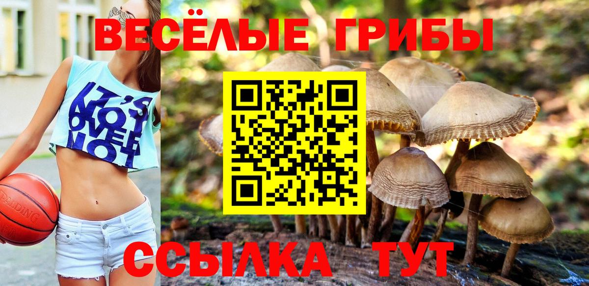 Галлюциногенные грибы GOLDEN TEACHER  Вход с VPN  Родники 