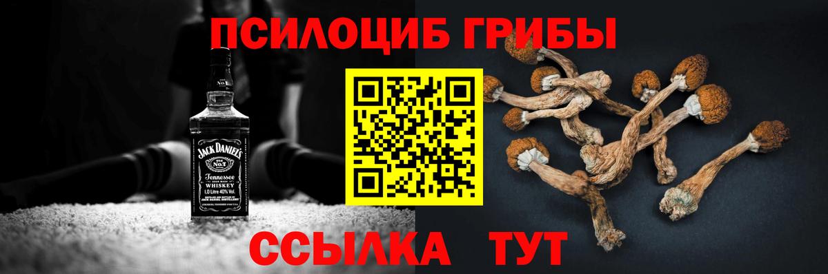 Галлюциногенные грибы ЛСД Родники