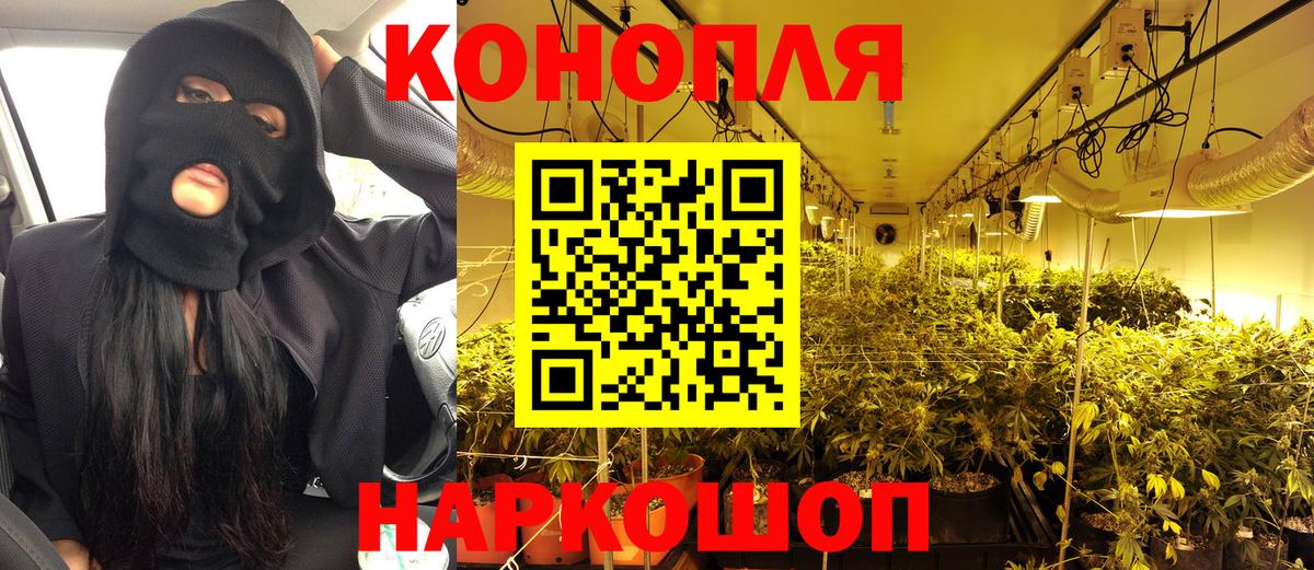 МАРИХУАНА планчик  Вход с VPN  МАРИХУАНА SATIVA & INDICA  Канабис VHQ  Шишки марихуана VHQ  Родники 